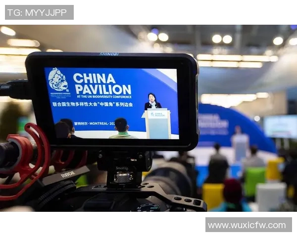 CCTV4在线直播优势解析:技术先进、内容丰富、互动多样、分析专业 CCTV4在线直播优势解析:技术先进、内容丰富、互动多样、分析专业