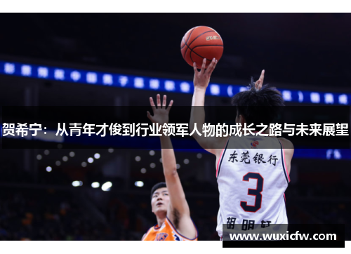贺希宁：从青年才俊到行业领军人物的成长之路与未来展望